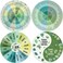 Kanayu 4 Pcs Feelings Wheel Magnet 7 Inch Therapy Emotion Wheel Magnet Magnetic Mental Feeling Chart Social Work Magnet for Kid Counselor Social Worker School Office Emotional Fridge (Greenery)