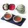 Travel Tea Set Ceramic Tea Pot Set Chinese Kung Fu Teapot Porcelain Gongfu Teacups with Infuser, Portable Bag 1 Pot 2 Mini Cup All in One for Home Office Outdoor Picnic Camping Hotel