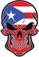 WickedGoodz Puerto Rican Flag Skull Refrigerator Magnet - Puerto Rico Magnetic Car Decal