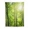 Asudfjgh Custom Tapestry Personalized Backdrop with Photo and Text, Personalized Backdrop for Wedding Birthday Fathers Mothers Valentines Day Gift, Beautiful Forest Landscape in the Morning 30"x40