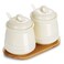 HAOTOP Ceramic Sugar Bowl 2 Pack, PorcelainJar with Tray, Spoon and Lid for Sugar, Pepper, Coffee, Spice, Salt, 12 Ounces (Beige)