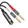 Devinal 1/4 TRS to Dual 1/4 TS Breakout Cable, 1/4" Female Stereo to Dual 6.35mm TS Male Adapter, 6.35mm Female to 2 1/4 inch Mono Y Splitter Cable - 1 ft