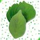 400 Sheets Leaf Sticky Notes Pads,Memo Pad Paper Sticker Pads(50 Sheets/Pad x 8 Pads),Leaf Notes DIY Decorations,Paper Notes,Plant Green Sticky Notes with A Paper of Leaf Stickers