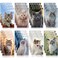 Teling 24 Pcs Cute Cat Party Favors Cat Mini Spiral Pocket Notepads Small Kitten Notepads for Kids Cat Party Decoration Teacher Classroom Rewards Office Travel Supplies, 2.4 x 3.9 Inches