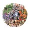 NOGAMOGA Nature Themed Transparent Stickers for Scrapbooking, Pack of 240, Flora and Fauna Vintage Aesthetic Decorative Decals for Journaling Photo Album Collage Card Making Crafts