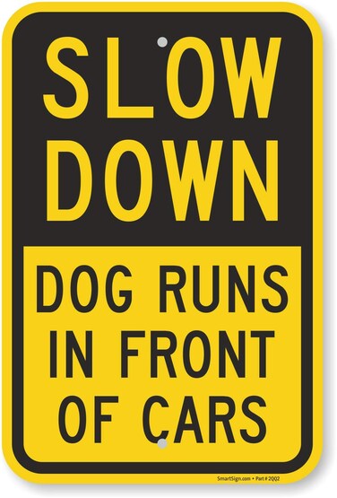 SmartSign - K-9324-AL-12x18 "Slow Down - Dog Runs In Front Of Cars" Sign   12" x 18" Aluminum Black on Yellow