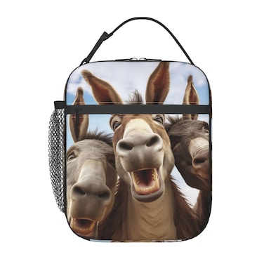VANZEV Lunch Box for Kids Girls Boys Funny Donkey Lunch Bag Cooler Tote Reusable Insulated Lunch Bag Container Gifts for Office Picnic Travel Work School