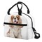 Rivatimrio Cavalier King Charles Spaniel Insulated Lunch Bag Women Cute Puppy Dog Lunch Box Kids Lunch Bag Kids Waterproof Reusable Tote Bags for Teen Girls School Picnic