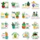 Kanayu 16 Pcs Funny Cute Magnets Adult Fridge Magnets Cactus Grass Flowers Plant Refrigerator Magnets for Adults Puns Magnets for Home Locker Whiteboard Office School Cabinet