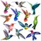Xuhal 12 Pcs Cute Fridge Magnets Car Magnetic Sticker Refrigerator Magnets Summer Magnets Fridge Decorations for Office Home Whiteboard Car Decor(Hummingbird)