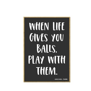 Honey Dew Gifts, When Life Gives You Balls Play with Them, 2.5 inch by 3.5 inch, Made in USA, Fridge Magnet, Locker Decorations, Decorative Refrigerator Magnets, Funny Inappropriate Gifts, 754098