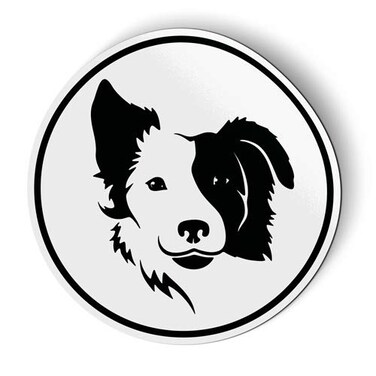 Border Collie - Magnet - Car Fridge Locker - 3