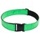 VET GOODS HEAVY DUTY REFLECTIVE BELT (GREEN)