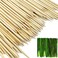 TIHOOD 100PCS 18" Wooden Garden Stakes with 100PCS 4" Garden Ties, Green Bamboo Sticks, Floral Plant Support Wooden, Wooden Sign Posting Garden Sticks Support Floral Plant, Tomato Stakes (Natural)