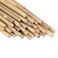 GAGINANG Plant Stakes Natural Garden Bamboo Sticks for Indoor and Outdoor, 20pcs for Tomatoes, Beans, Potted Plants - 18 inches