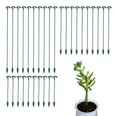 Ruksifg Pack of 30 Small Plant Stakes for Indoor Plants 3 Size 6.69/10.63/14.57/ Inches Single Stem Plant Support Stakes for Phalaenopsis/Orchid Flower/Roses/Chrysanthemum/Succulent