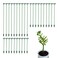 Ruksifg Pack of 30 Small Plant Stakes for Indoor Plants 3 Size 6.69/10.63/14.57/ Inches Single Stem Plant Support Stakes for Phalaenopsis/Orchid Flower/Roses/Chrysanthemum/Succulent