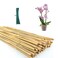 Moromyse 30Pcs Garden Stakes, 0.32&acirc;&euro;/16 Inch Bamboo Sticks with 100 Pcs Twist Ties Natural Plant Stakes for Indoor and Outdoor Plants&iuml;&frac14;&OElig;Poles for Tomatoes, Beans, Potted Plants