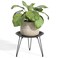 SUEH DESIGN Plant Stand Indoor, Metal Plant Stand Round Plant Table Heavy Duty Plant Stool Flower Pot for Indoor Outdoor Home Decor, 1 Pack Short