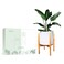 SOTECH Plant Stand - Adjustable Modern Indoor Plant Holder Mid Century Modern Plant Stand &amp; Large Pots Sizes 8 9 10 11 12 inches Bamboo wood Plant Stands Plant Holder
