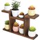 COOGOU Wood Desktop Plant Stand Indoor - Windowsill Plant Shelf Small Tabletop Plant Holder, Flower Display Rack for Succulent Herb in Living Room Office 6 Tiers