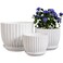 Ton Sin White Plant Pots Set of 3,Indoor Ceramic Flower Pot with Saucers,6.7"&amp;5.5"&amp;3.9" Inch Small to Medium Sized Planters for Plants,Round Modern Garden Pots