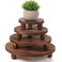 Sintuff 4 Pack Mini Wooden Plant Stool Display Stand Wood Cake Stand 12/10/8/6 Inch Round Wooden Stool Plant Risers Holder for Flower Pot Wooden Plant Stool Indoor Outdoor Wood Plant Stand(Dark Brown)