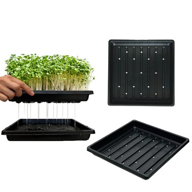 ILITING Plant Growing Trays for Seedlings Microgreen Seed Starter Shallow Plants Tray Standard 1010 Tray with Drain Holes 10 Pack Black 10.7 x 10.7 inches Square Trays
