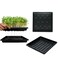 ILITING Plant Growing Trays for Seedlings Microgreen Seed Starter Shallow Plants Tray Standard 1010 Tray with Drain Holes 10 Pack Black 10.7 x 10.7 inches Square Trays