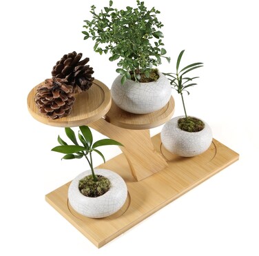 QruiLanTu Window Sill Plant Shelf&iuml;&frac14;&OElig;Desk Desktop Bamboo Plant Stand&iuml;&frac14;&OElig; Table Succulent Plant Stand for Home, Office, Living Room, Bedroom Decoration