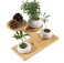 QruiLanTu Window Sill Plant Shelf&iuml;&frac14;&OElig;Desk Desktop Bamboo Plant Stand&iuml;&frac14;&OElig; Table Succulent Plant Stand for Home, Office, Living Room, Bedroom Decoration