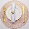 Evevda Placemats for Dining Table Set of 4 Round Hollow Out Table Mats Pressed Metallic Vinyl Plastic Place Mats Table Decoration for Holiday Wedding Accent Centerpiece(Rose Gold Radial Circle)&acirc;&euro;&brvbar;