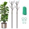 Vocray Plant Support Stakes for Indoor Plants,Trellis for House Potted Plants Flower,Monstera Support Sticks with Orchid Clips,Twist Ties(2 Pack Brown)