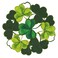 Simhomsen Set of 4 Embroidered Irish Clover Round Doily Placemats for St. Patrick&acirc;&euro;&trade;s Day, Spring Shamrock Decorations