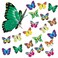 Kaemi Double Layer Butterfly Thumb Tacks Decorative Cute Push Pins for Bulletin Board Photo Wall Cork Board Vision Board Supplies Office Desk Accessories (30 Pcs)