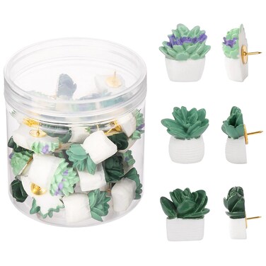 30Pcs Decorative Pushpins Succulent Plants Thumb Tacks for Wall Hangings,Cork Board
