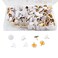 Piutouyar 300Pcs White Decorative Flat Push Pin, Plastic Roundness Head Thumbtack, Black Thumb Tacks for Wall, Map, Cork Board, 3/8 Inch