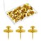 Push Pins Picture Hangers Double Headed Thumb Tacks Wall Hooks for Wall Hangings Picture Hangers Nails Small Photo Hanging Hook Pins for Home Office Photo Decor(Gold,50 Pieces)