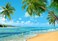 10x8ft Summer Tropical Hawaii Palm Tree Or Beach Photography Backdrops 7X5FT Blue Sea Sky Sunshine Luau Party Photo Background Wedding Bride Shower Baby Birthday Party Banner Supplies Props