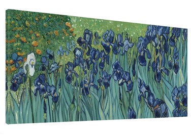Irises in the Garden by Vincent Van Gogh Art Reproduction Famous Picture Painting Framed for Living Room Home Office Wall Decor Artwork-20 x40 inch