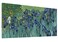 Irises in the Garden by Vincent Van Gogh Art Reproduction Famous Picture Painting Framed for Living Room Home Office Wall Decor Artwork-20 x40 inch