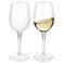 HAHASHOW Unbreakable Wine Glasses Set of 2-100% Tritan Plastic Red and White Wine Glass 355ML, Perfect for Camping and Parties