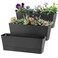 Sanbege Window Box Planter with Tray, 12" Rectangle Plant Pot, Pack of 3 (Black)