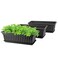 GREANER Rectangle Planters for Indoor Plants, 3 Pack Long Outdoor Plastic Flower Boxes Vegetable Growing Pots 16.9x7.48 Inch with Tray for Garden Balcony Windowsill House DIY - Black