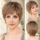 EMMOR HD Lace Front Wig, Pixie Cut Wig Human Hair Wigs with Bangs Natural Short Wig Layered Wavy Different Style Short Wigs for White Women(Ombre Ash Blonde#)