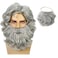 Wiggy Mermaid Santa Beard and Wig Set Long Gray Old Man Wizard Wig Costume Accessories Santa Claus Suit Grey for Men Women Carnival Christmas Party
