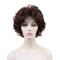 onemily Shaggy Wavy Wig Short Layered Wig with Bangs Heat Friendly Natural Wig for Women for Daily Wear (8&quot; Dark Auburn with Highlights)
