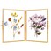 REDHUGO Glass Pressed Flower Frame Handmade, Hinged Double Press Flower Frame, Tabletop Brass Photo Frames, Rectangle Dried Flower Display Folding Frame for Home, Gold,5&Atilde;&mdash;7 Inches