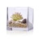 4.8" Clear Glass Cube Vase Handmade Square Home Decorative Bottle Flower Glass Vase Wedding Party Table Centerpieces (4.8"X4.8"X4.8")