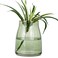 VanEnjoy 7 inch Green Clear Simple Green Glass Flower Vase, Decorative Gilded Rim Vase Home Decor for Indoor Centerpiece